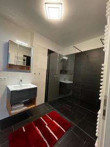 y baño con lavabo y ducha. en SWID Appartement en Delitzsch