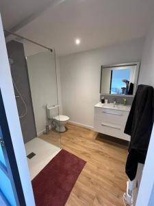 a bathroom with a shower and a sink and a mirror at Gîte dans un hameau breton - 10 personnes 