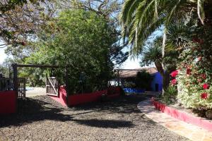 Vonkajšia záhrada v ubytovaní Finca Las Canitas - Ferienhaus Teneriffa