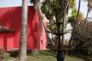 Vonkajšia záhrada v ubytovaní Finca Las Canitas - Ferienhaus Teneriffa