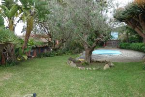 Vonkajšia záhrada v ubytovaní Finca Las Canitas - Ferienhaus Teneriffa