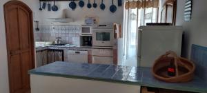 a kitchen with a counter top and a refrigerator at GITE LES HORTENSIAS in Aurel