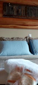 1 dormitorio con 1 cama con almohadas azules y estante de libros en Pousada Sentiero, en Urubici