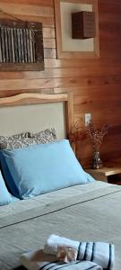 1 dormitorio con 1 cama con almohada azul y libros en Pousada Sentiero, en Urubici