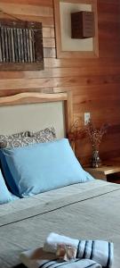 a bedroom with a bed with a blue pillow and books at Pousada Sentiero in Urubici +40 photos