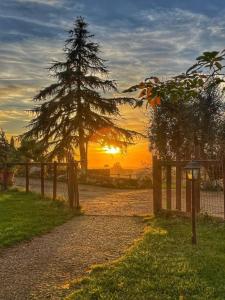een zonsondergang met een dennenboom en een hek bij Room24 in Genzano di Roma