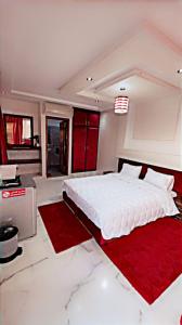 アガディールにあるRiad dar salamのベッドルーム1室(大型ベッド1台、赤いラグ付)