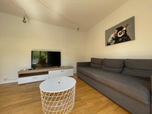 Laura Cosy T2 *CLIM* Proche Gare في غرونوبل: غرفة معيشة مع أريكة وتلفزيون بشاشة مسطحة