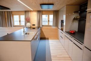 a kitchen with a sink and a counter top at Bregenzerwälder Appartements Familie Fink in Andelsbuch