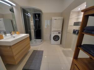 uma casa de banho com um lavatório e uma máquina de lavar roupa em Korvin One Apartman em Pápa