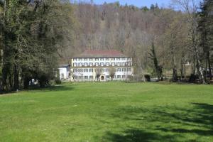un grand bâtiment blanc dans un champ d'herbe dans l'établissement CAREA Hotel Fürstenhof, à Haigerloch