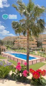 a villa with a palm tree and a swimming pool at Sky Sea Holidays MIJAS COSTA in La Cala de Mijas