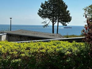 a building with a tree and the ocean in the background at Ferienhaus Seeblick in Sassnitz
