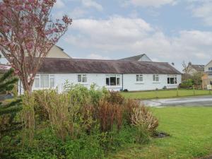 une maison blanche avec un arbre dans la cour dans l'établissement Primrose Cottage, à Tenby