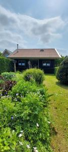 Zahrada ubytování B&B Guesthouse Claeswael
