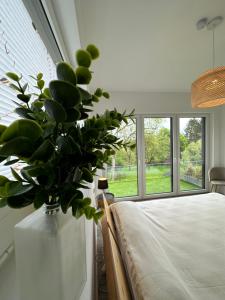 um vaso com uma planta sentada ao lado de uma cama em Apartment auf zwei Ebenen mit Aussicht ins Grüne em Stuttgart