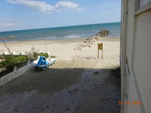 Příroda nedaleko apartmánu + 5 fotografií