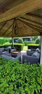 Zahrada ubytování B&B Guesthouse Claeswael