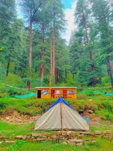 a tent in the middle of a field with a forest at Shanti People Huts & Camp in Kasol