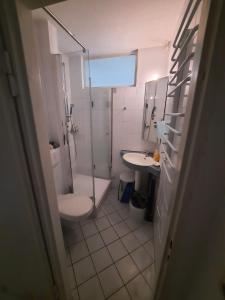 La salle de bains est pourvue d'une douche, de toilettes et d'un lavabo. dans l'établissement Oase der Ruhe und Entspannung, à Bad Homburg vor der Höhe