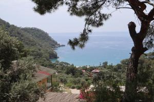 a view of the ocean from a hill at Tree Houses Hotel in Fethiye