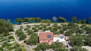 an aerial view of a house on a hill next to the water at Sunny in Vela Luka