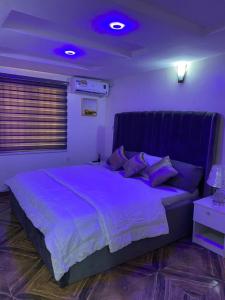 1 dormitorio con 1 cama grande con iluminación púrpura en House 11 en Ibadán