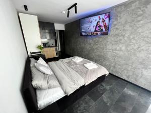 ウストロンにあるApartament Ustrońのベッドルーム1室(ベッド1台、壁掛けテレビ付)