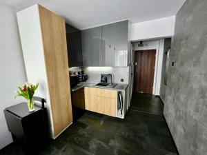 una pequeña cocina con fregadero y encimera en Apartament Ustroń, en Ustroń