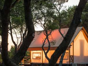 a house in the woods with trees in the foreground at Camping Paradiso in Pesaro
