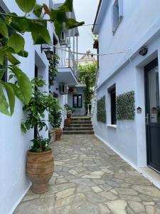 a hallway of a white building with potted plants at Kastro Studios in Skopelos Town