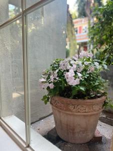 深圳僑城旅友國際青年旅舍室外花園
