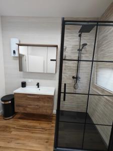a bathroom with a shower and a sink at Ferienwohnung Schöne Aussicht in Zell an der Mosel