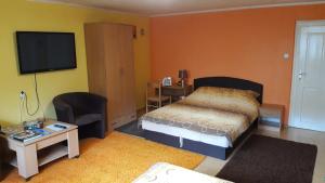 a bedroom with a bed and a flat screen tv at Modern&Cozy Bosnian house with GARDEN+FREE parking in Sarajevo