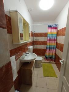 een badkamer met een wastafel, een toilet en een douche bij Szieszta Vendégház in Sárospatak