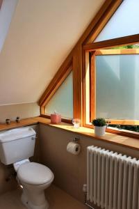 ein Badezimmer mit einem WC, einem Fenster und einem Heizkörper in der Unterkunft Poet's Cottage, Steep - Rural Location - Sleeps 6 in Steep