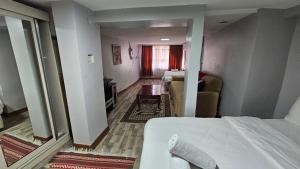 イスタンブールにあるタクシム スイート - llのベッドとリビングルームが備わるホテルルームです。