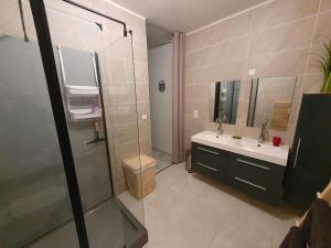 een badkamer met een douche en een wastafel bij Loft, appartement in Morbier