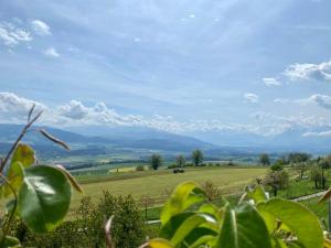 a view of a green field with mountains in the distance at Rosenhüsli in Gerzensee