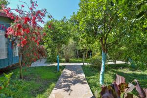 A garden outside Cinderella Pension & Bungalow
