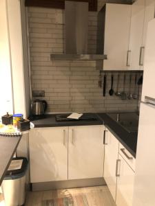 Kuchyň nebo kuchyňský kout v ubytování Apartamento Toledo San Justo