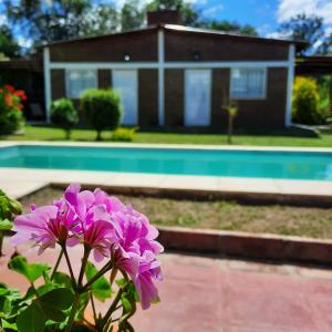 una flor púrpura frente a una casa con piscina en La Algarroba en Alta Gracia