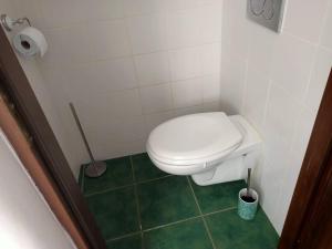 baño con aseo y suelo verde en AU 2B 46 Ravissant duplex, en Cahors