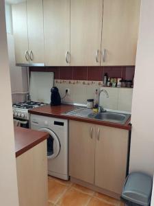 Kuchyň nebo kuchyňský kout v ubytování Cozy Studio in Cluj-Napoca