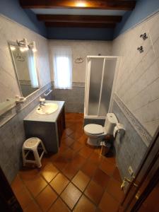 y baño con lavabo, aseo y ducha. en Casa Rural Puerta del Sol de 3 habitaciones, en Candelario