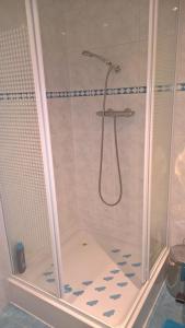 een douche met een glazen deur in een badkamer bij Bed and Breakfast Amsterdam Holy Dove in Amsterdam