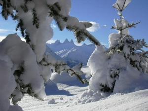 a tree covered in snow with mountains in the background at La Principauté de Comborciere in La Toussuire