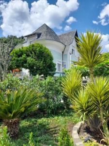 a large white house with palm trees and plants at Villa La Parisienne in Diano Borello