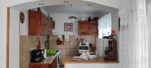 a kitchen with wooden cabinets and a white refrigerator at Casa Bănucu in Satu Mare