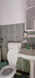Un baño con un inodoro blanco y un lavabo. en Casa Bănucu, en Satu Mare 16 fotos más